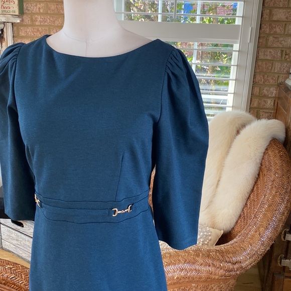 ANN TAYLOR PETITE BIT EQUESTRIAN HORSES 3/4 SLEEVE DRESS 6 P NEW - Picture 4 of 11